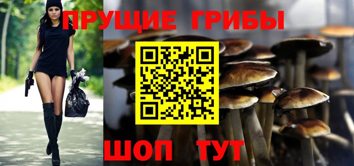 Псилоцибиновые грибы GOLDEN TEACHER  Вход с VPN  Губкинский 