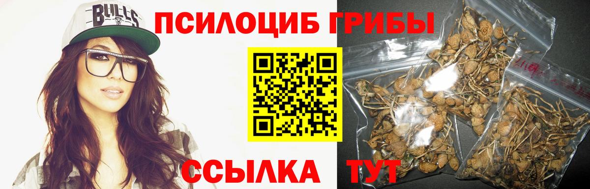 Гашиш  Губкинский  MDMA  Кокаин  Мефедрон  Вход с VPN  Конопля  Меф кристаллы  Кокаин 