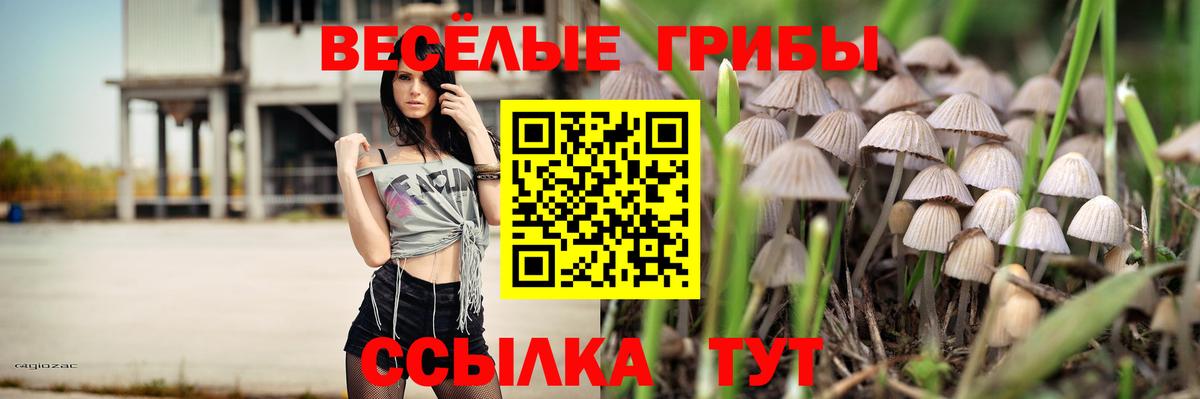 Псилоцибиновые грибы Cubensis Губкинский
